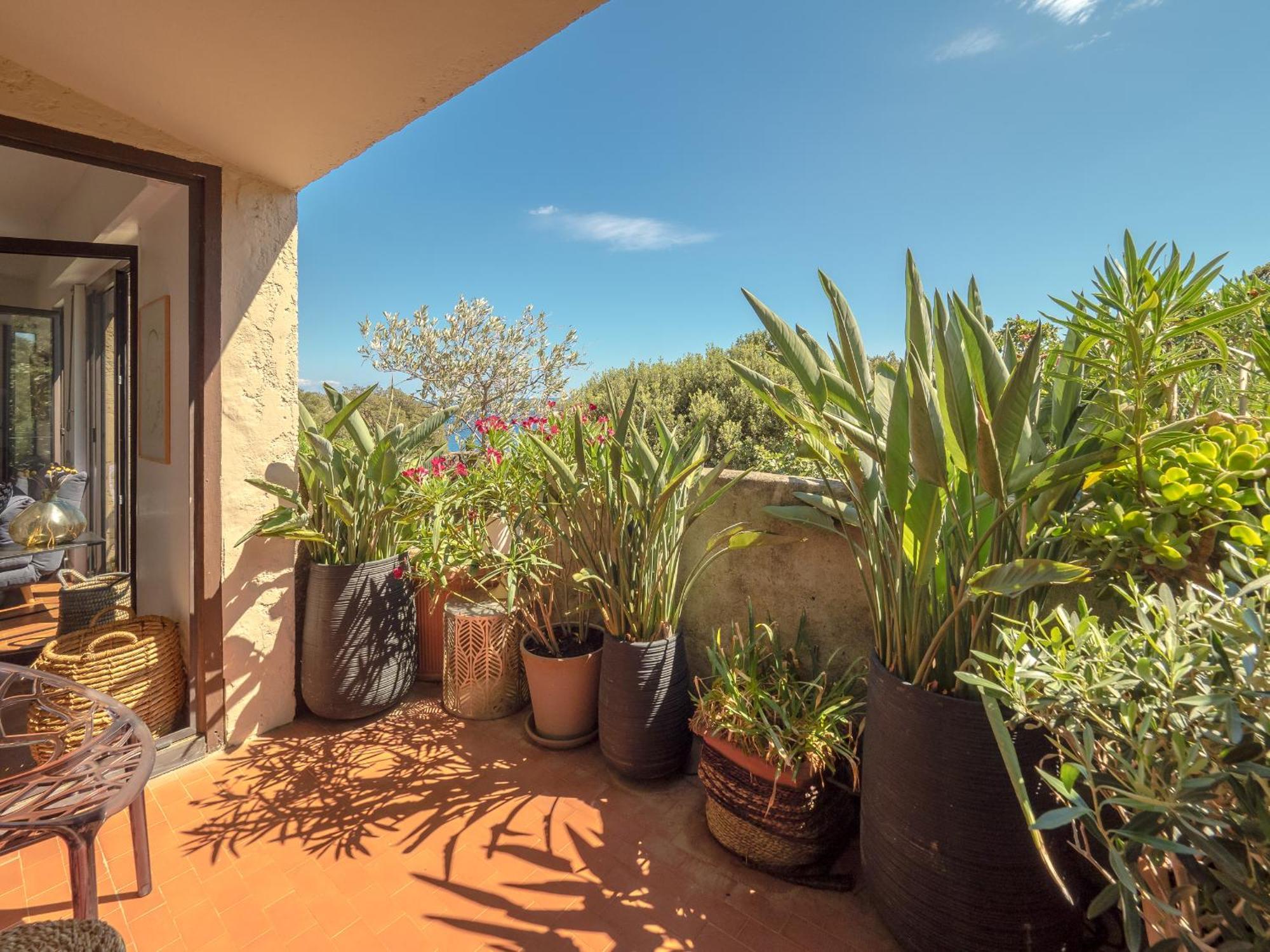 Residence Les Sources Brando Екстер'єр фото
