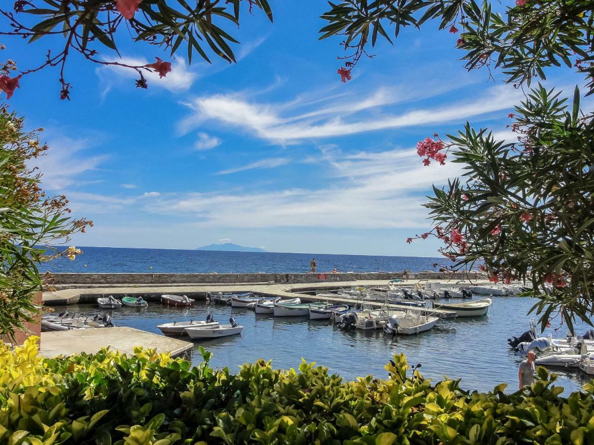 Residence Les Sources Brando Екстер'єр фото